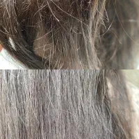 موخوره گیری به روش روسی