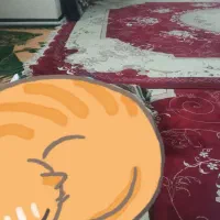 دوعدد فرش تمام نخ