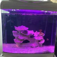 اکواریوم دلسا L470B