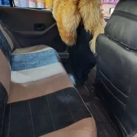 پژو 405|خودرو سواری و وانت|ایرانشهر, |دیوار