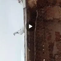 کبوتر