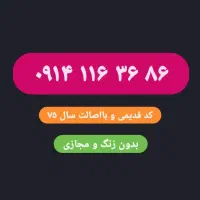 سیم کارت کد قدیمی سال۷۴   ۰۹۱۴.۱۱۶.۳۶.۸۶