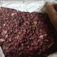 لوبیا|خوردنی و آشامیدنی|اصفهان, شاهزاده ابراهیم|دیوار