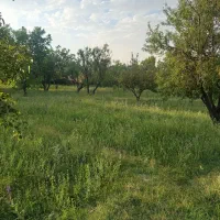 باغ|فروش خانه و ویلا|قیدار, |دیوار