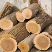 خریدار چوب صد در صد نقد