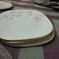 بشقاب غذا خوری