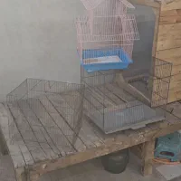 قفس پرنده