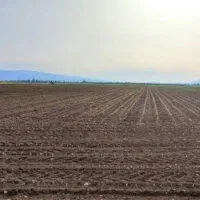 زمین-کشاورزی