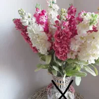 گل خارجی و گلدان فروخته شد