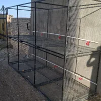 قفس مرغ و خروس