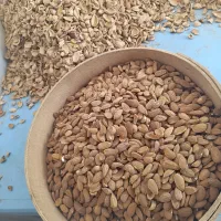 نیروی کار خانم جهت پاک کردن بادام