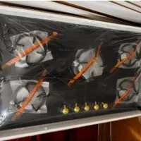 اجاق گاز صفحه ای نو
