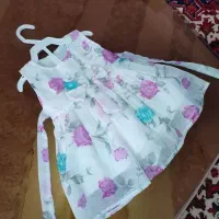 دون مجلسی دخترانه نو
