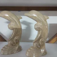 دلفین چینی وارداتی وهفت سین