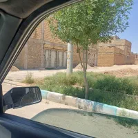 گلزار‌فاز۲