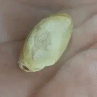 انواع انگشترومهره همه باکارایی بالا