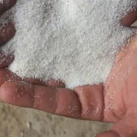 سیلیس