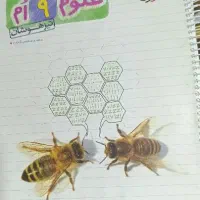 کتاب علوم نهم خیلی سبز