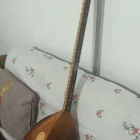 باغلمه دست دراز دو دریچه