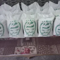 برنج فجر