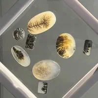 فروش سنگ شجر قائن مجموعه ۸ عددی