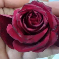 قوطی و ورق ایرانیت سینم