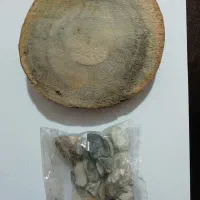 تخته چوب و سنگ گلدانی