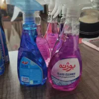 شوینده و حشره کش