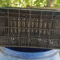 سبدگوجه