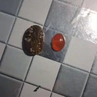 عقیق وشجر