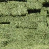فروش یونجه