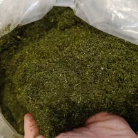 سبزی خشک