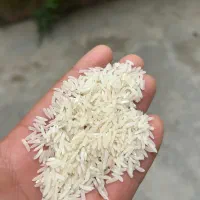۳۳۰کیلو برنج پرمحصول امید فریدونکنار (برنج پارسال)