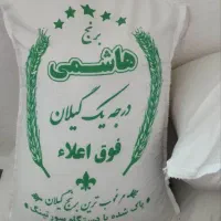 برنج گیلان صومعه سرا کشت اول به شرط بخت