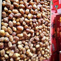 قصب یا خرمای زاهدی