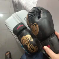 دستکش بوکس ،  تعداد محدود