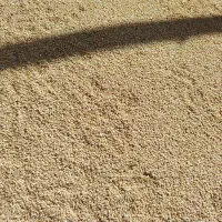 گندم|عمده‌فروشی|نگار, |دیوار
