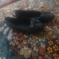 کفش کاج نو