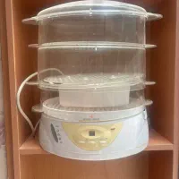 بخار پز