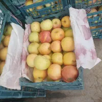 سیب برا سرکه