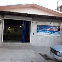 نیاز به همکار در قالیشویی