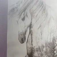 انجام پروژه و کارهای جوشکاری و ساختمان کیش