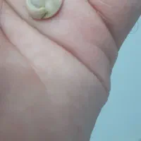 مهره