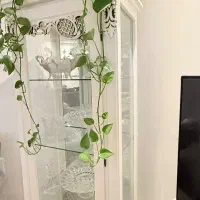 بوفه|بوفه، ویترین، کنسول|رشت, شالکو|دیوار