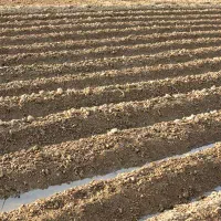 اجاره-مدت-دار-زمین-کشاورزی-بالای-70-هکتار