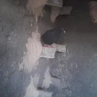 کلاغ