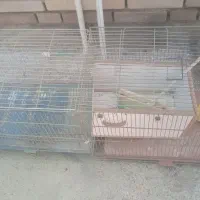قفس پرنده