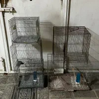 قفس پرنده