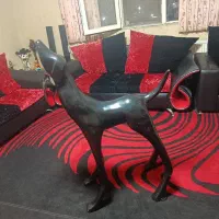 مجسمه سگ