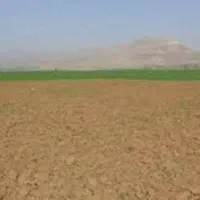 زمین-دیم-اراضی-روستای-دیوزند